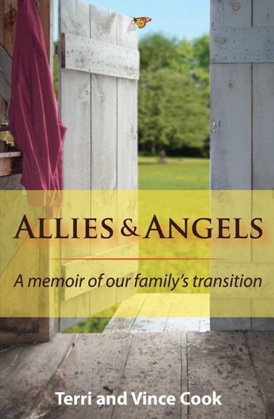 Allies and Angels by Terri Cook